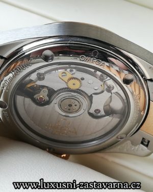 Omega_Seamaster_Aqua_Terr_steel_Rose_Gold_39mm_016