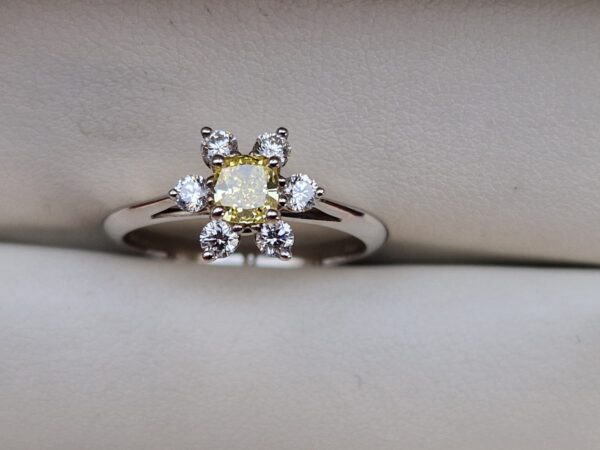 Tiffany Buttercup vel.54