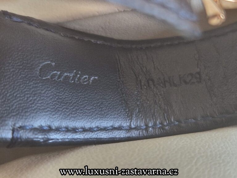 Cartier_Pasha_Yellow_Gold_41mm_008