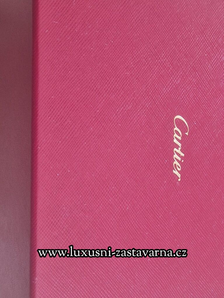 Cartier_Pasha_Yellow_Gold_41mm_013
